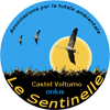 Powered by Le Sentinelle
