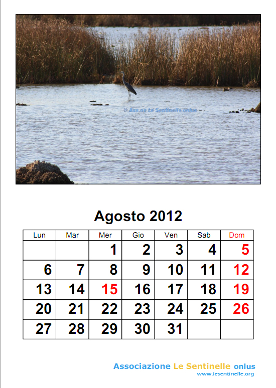 agosto2012