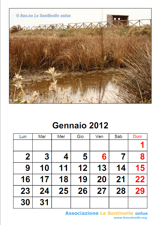 gennaio2012