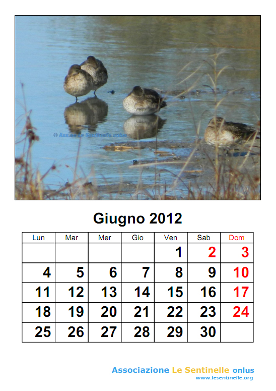 giugno2012