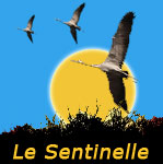 Le Sentinelle