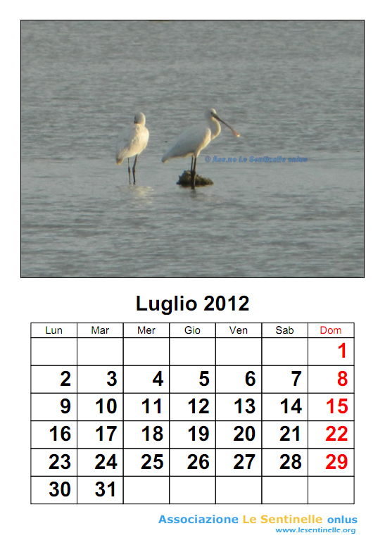 luglio2012