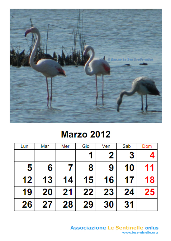 marzo2012