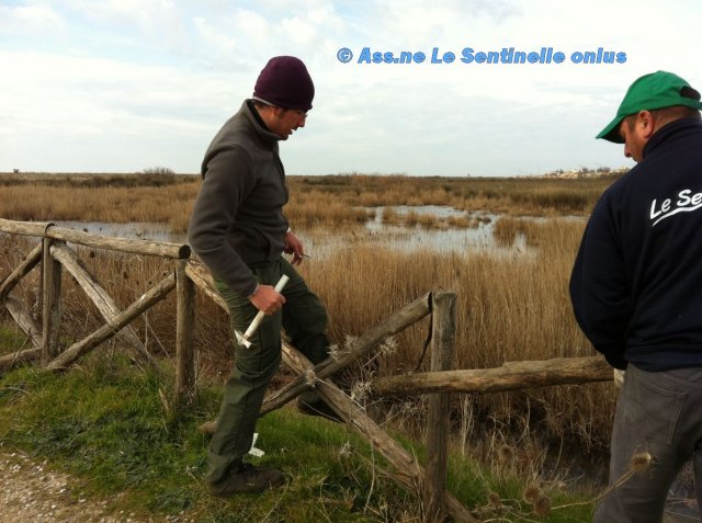 Germano e Alessandro si dedicano allo steccato