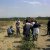 Escursione Variconi, con WWF e Sentinelle 26 Maggio 2012 