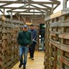 WWF Agro Aversano