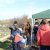 Tamerix Affonda La Tua Radice 17 Febbraio 2012