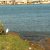 Progetto «Adottiamo l’ambiente» dell'Ass.ne A.R.CA. - Con l'A.R.CA.- Seconda giornata pulizia (18 ottobre 2012)
