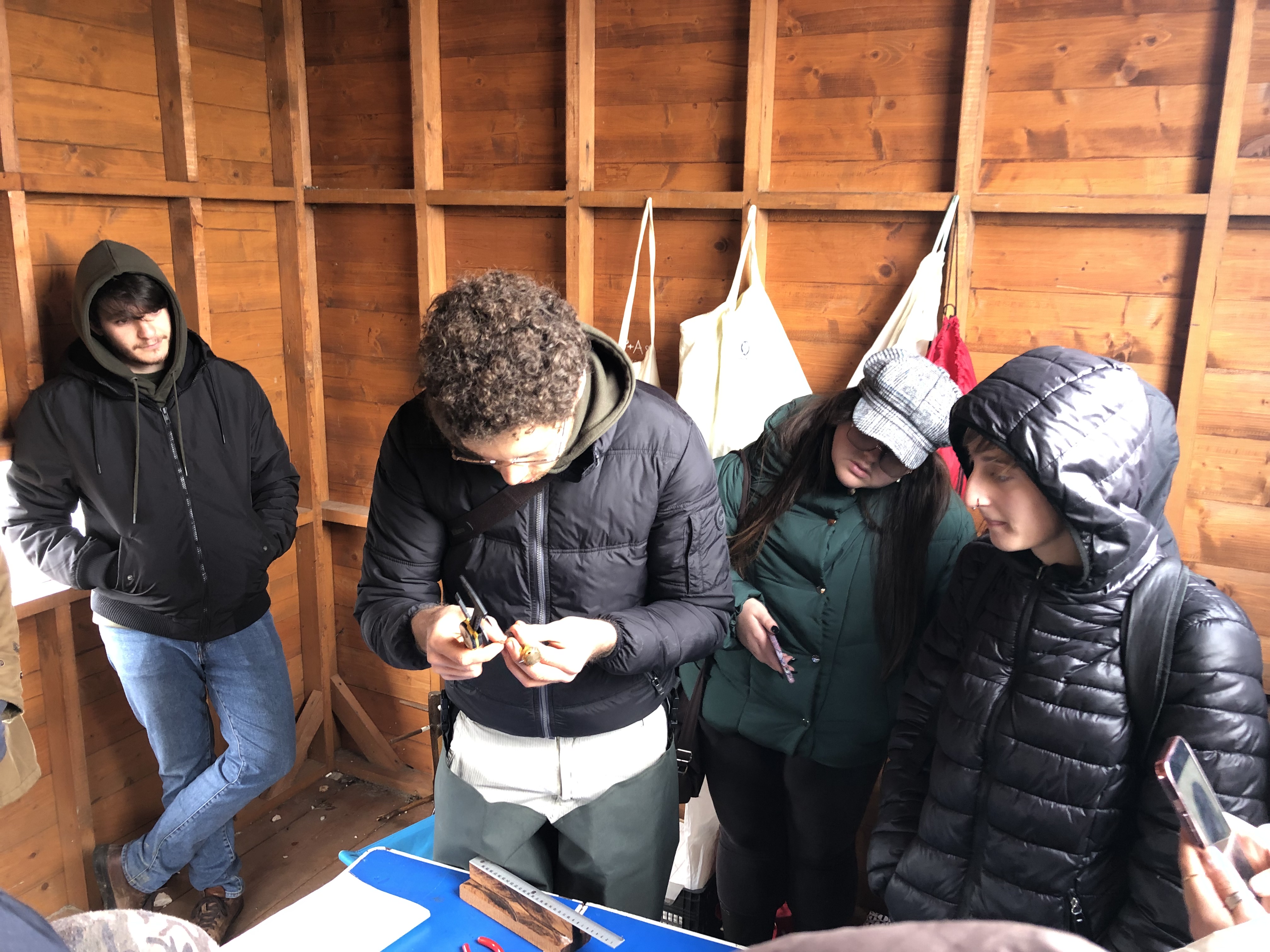 inanellamento studenti