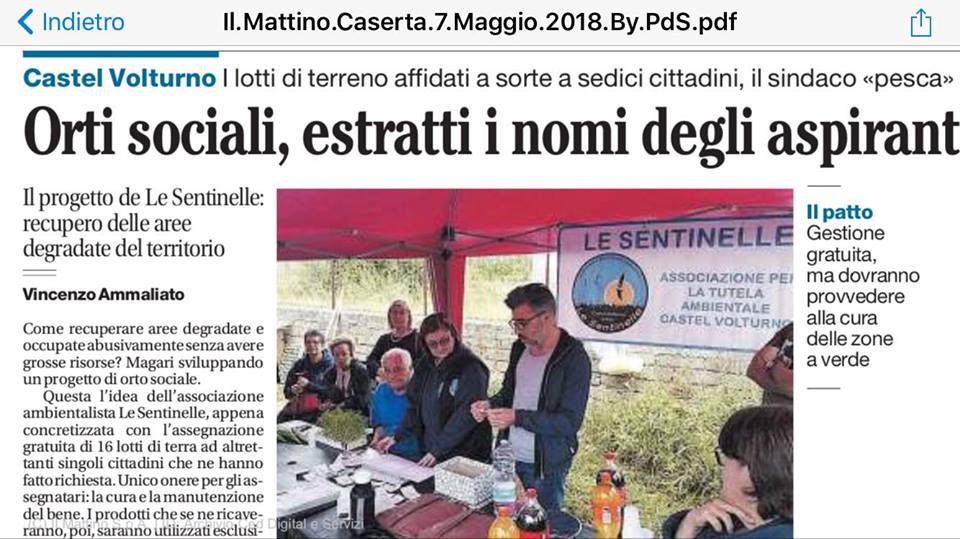 il Mattino - Orto sociale